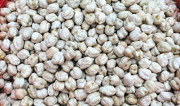 天麻豆与鹰嘴豆的区别,两种豆类的异同解析