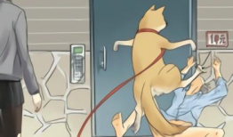 一条狗漫画,欢乐逗趣日常瞬间